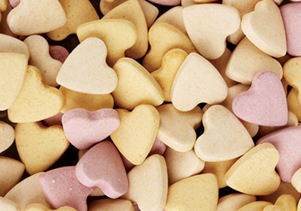 動(dòng)物營(yíng)養(yǎng)