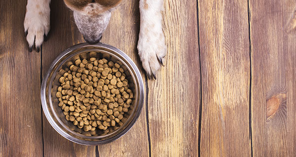 動物飼料及獸藥行業